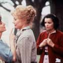 Shirley MacLaine And Debra Winger In 'Terms Of Endearment' on Random Buddies From Movies Who Hated Each Other In Real Lif