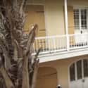 Louisiana: Dauphine Orleans Hotel on Random Most Haunted Hotels In Every State