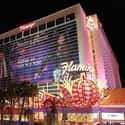  Nevada: Flamingo Hotel And Casino on Random Most Haunted Hotels In Every State