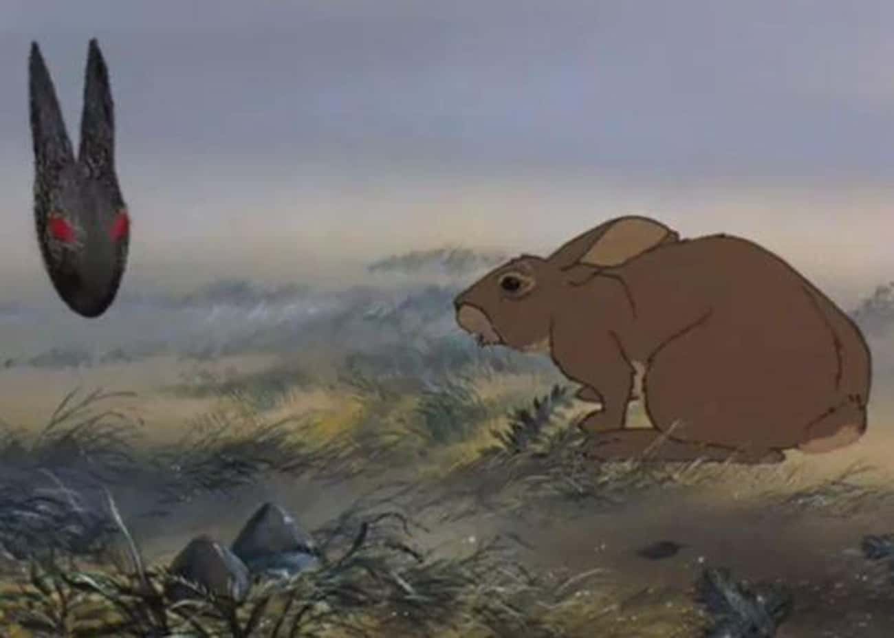 The Film Ends With Hazel - A Hero Rabbit - Old, Shabby, And Meeting His Demise