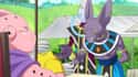 Beerus Lives Up To His Title In 'Dragon Ball Super' on Random Anime Characters Received Disproportionate Retribution