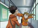 Naru Narusegawa Punches Keitaro Urashima For Something She Did In 'Love Hina' on Random Anime Characters Received Disproportionate Retribution