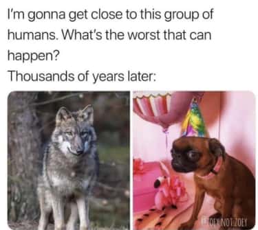 23 Funny History Memes That Will Crack You Up