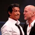 He Took On Fellow Tough Guy Bruce Willis, Who He Called 'Greedy And Lazy' on Random Fascinating Stories About Sylvester Stallone, Hollywood's Most Macho Sta