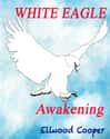 White Eagle: Awakening on Random Best Young Adult Adventure Books