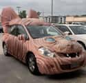 Hairless Cat Mobile on Random Cars That Make You Go &amp;amp;quot;But Why?&amp;amp;quot;