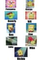 Losers' Club on Random Most Accurate And Funny Spongebob Comparison Charts