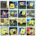 Parks And Rec Employees on Random Most Accurate And Funny Spongebob Comparison Charts