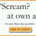 Scream? on Random Possum Memes You Had No Idea You Needed
