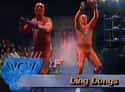 The Ding Dongs on Random Dumbest Wrestling Costumes