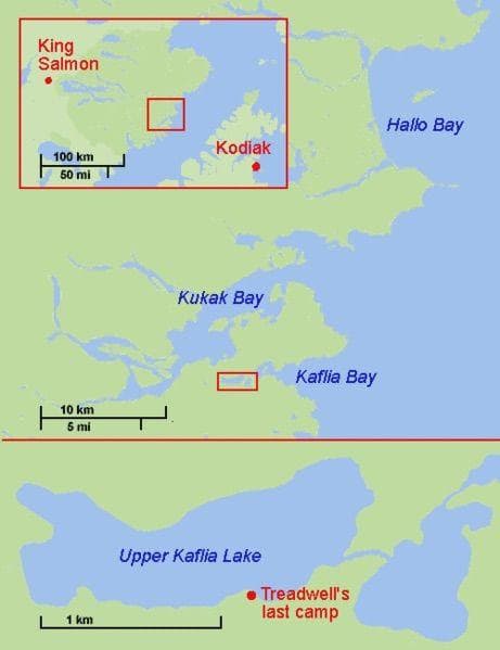 The Grizzly's Perspective: Timothy Treadwell's Fate