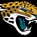 Steve Lindsey on Random Best Jacksonville Jaguars Kickers