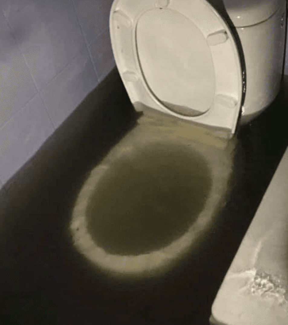 19 Random Images That Will Haunt Your Dreams (Seriously, They're Weirdly Disturbing)