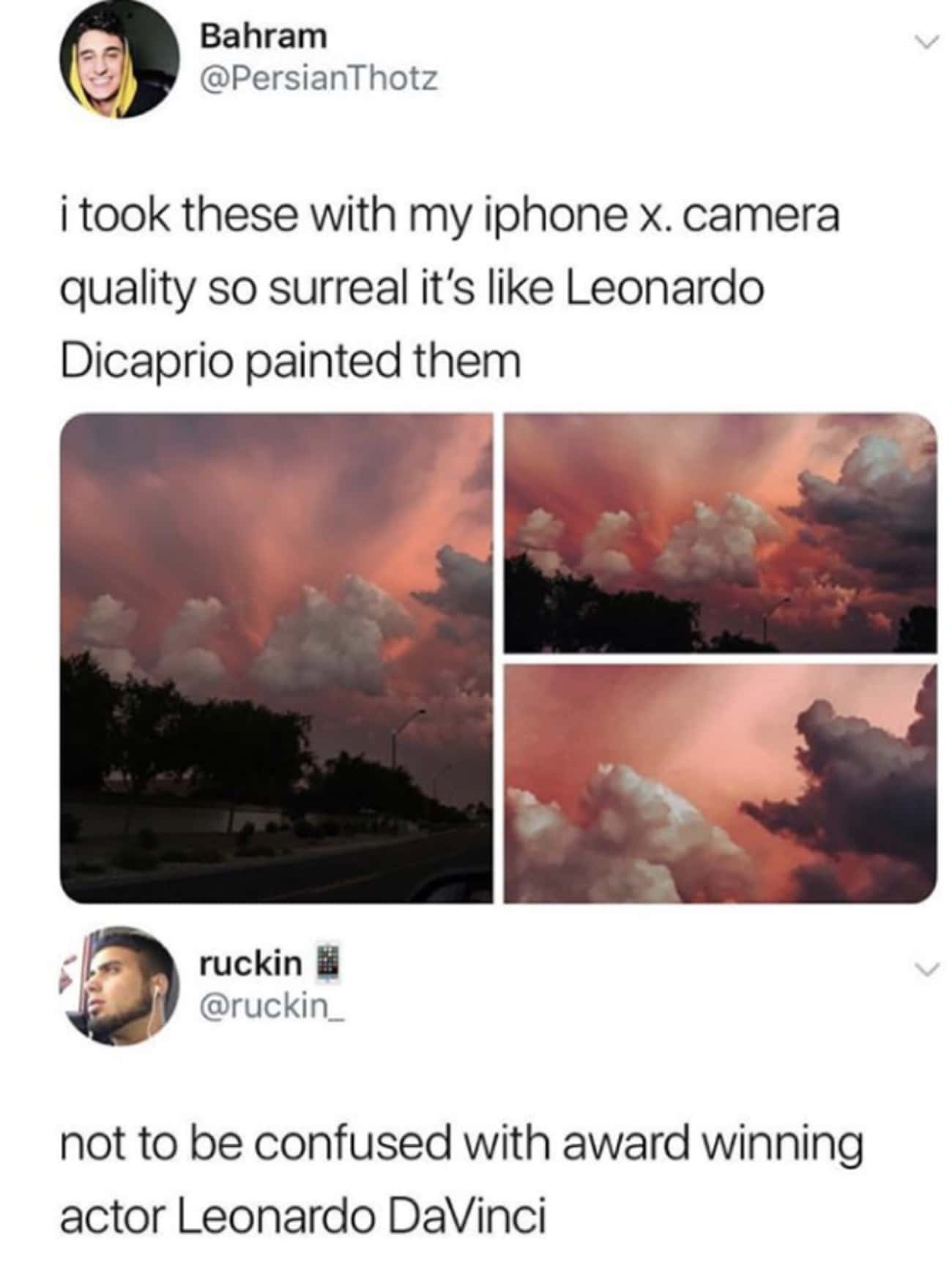 Painter Leonardo DiCaprio
