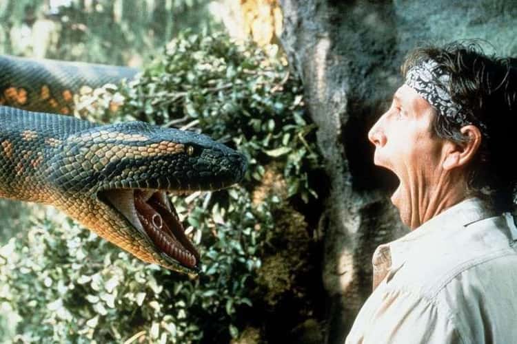 Movie anaconda Anaconda (film)