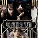 The Great Catsby on Random Cat Movie Posters For Films That Actually Seem Like They'd Be Pretty Good