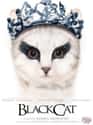 Black Cat on Random Cat Movie Posters For Films That Actually Seem Like They'd Be Pretty Good