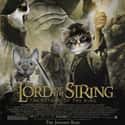 The Lord Of The String on Random Cat Movie Posters For Films That Actually Seem Like They'd Be Pretty Good