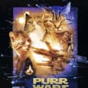 Purr Wars on Random Cat Movie Posters For Films That Actually Seem Like They'd Be Pretty Good