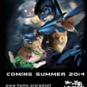 Catman & Robin on Random Cat Movie Posters For Films That Actually Seem Like They'd Be Pretty Good
