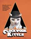 A Clockwork Kitten on Random Cat Movie Posters For Films That Actually Seem Like They'd Be Pretty Good