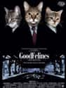 GoodFelines on Random Cat Movie Posters For Films That Actually Seem Like They'd Be Pretty Good