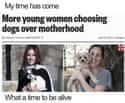 Dogs Over Motherhood on Random Memes For People Who Prefer Dogs Over Children