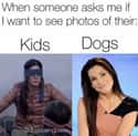 I Have A Preference on Random Memes For People Who Prefer Dogs Over Children