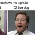 The Face Says It All on Random Memes For People Who Prefer Dogs Over Children