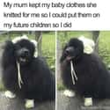 Baby Clothes Handed Down To Dogs on Random Memes For People Who Prefer Dogs Over Children