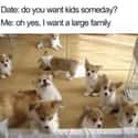 My Ideal Large Family on Random Memes For People Who Prefer Dogs Over Children