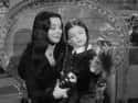Since Lisa Loring Wasn’t Allowed To Smile As Wednesday, Carolyn Jones Would Make Her Laugh In Between Takes on Random Charming And Intriguing Behind-The-Scenes Stories From ‘The Addams Family’ TV Show