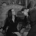 John Astin Claimed That He And Carolyn Jones Were Genuinely Attracted To Each Other on Random Charming And Intriguing Behind-The-Scenes Stories From ‘The Addams Family’ TV Show