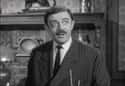 John Astin Was A College Student When He First Discovered Charles Addams's Cartoons on Random Charming And Intriguing Behind-The-Scenes Stories From ‘The Addams Family’ TV Show