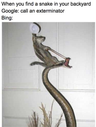 18 Hilarious Google Vs Bing Memes You Ll Feel Bad For Laughing At