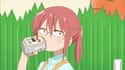 Kobayashi - 'Miss Kobayashi's Dragon Maid' on Random Anime Characters Who Grew Up With No Friends