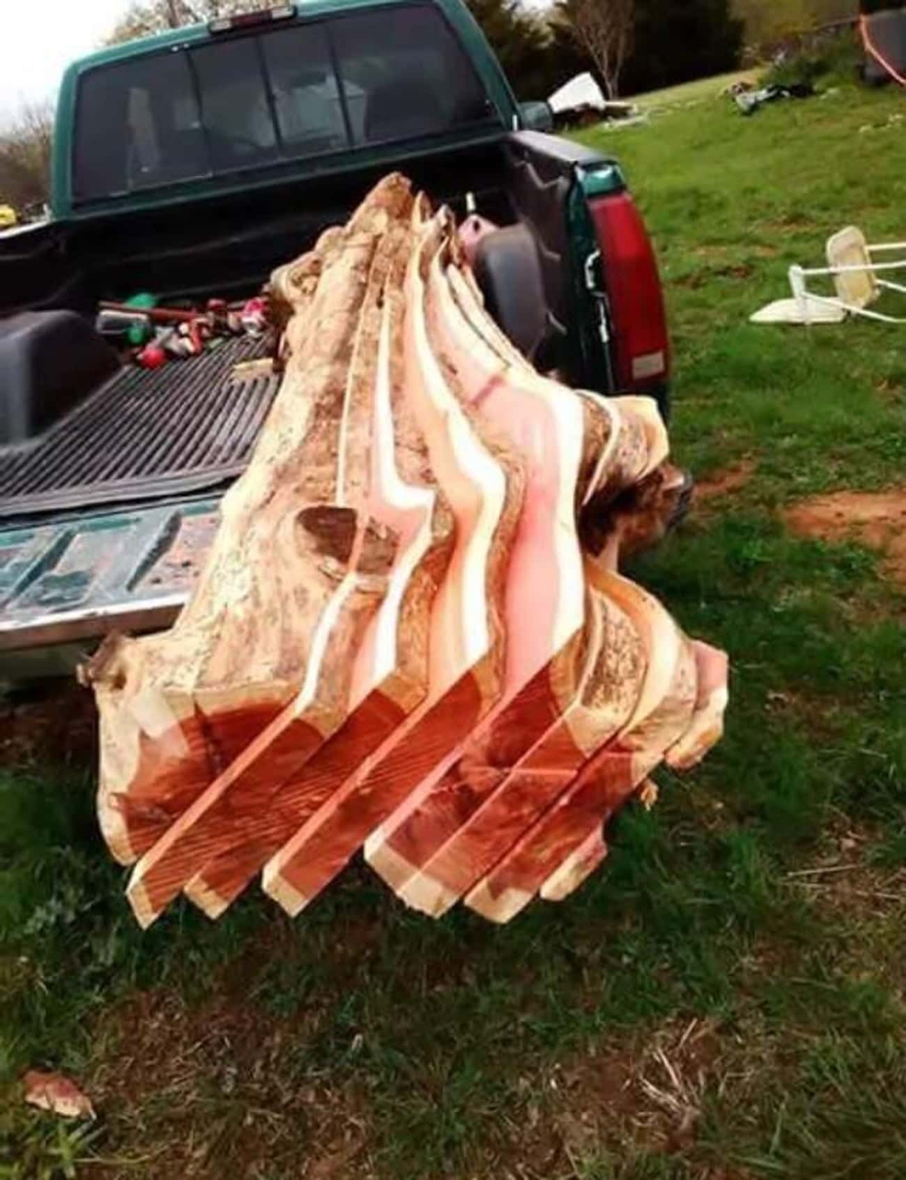 Forbidden Bacon