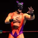Battle Kat on Random Dumbest Wrestling Costumes