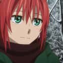 Chise Hatori - 'The Ancient Magus' Bride' on Random Anime Characters Who Grew Up With No Friends