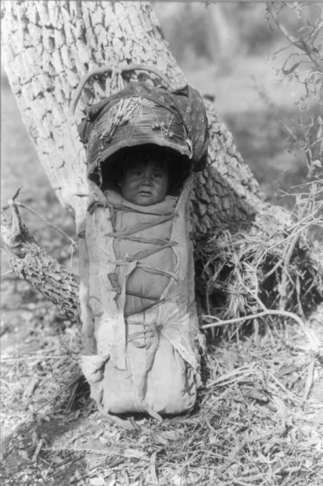 An Apache Baby In A Carrier, C. 1903