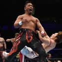 Shingo Takagi on Random Best Current NJPW Wrestlers