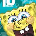 SpongeBob SquarePants - Season 10 on Random Best Seasons of 'SpongeBob SquarePants'