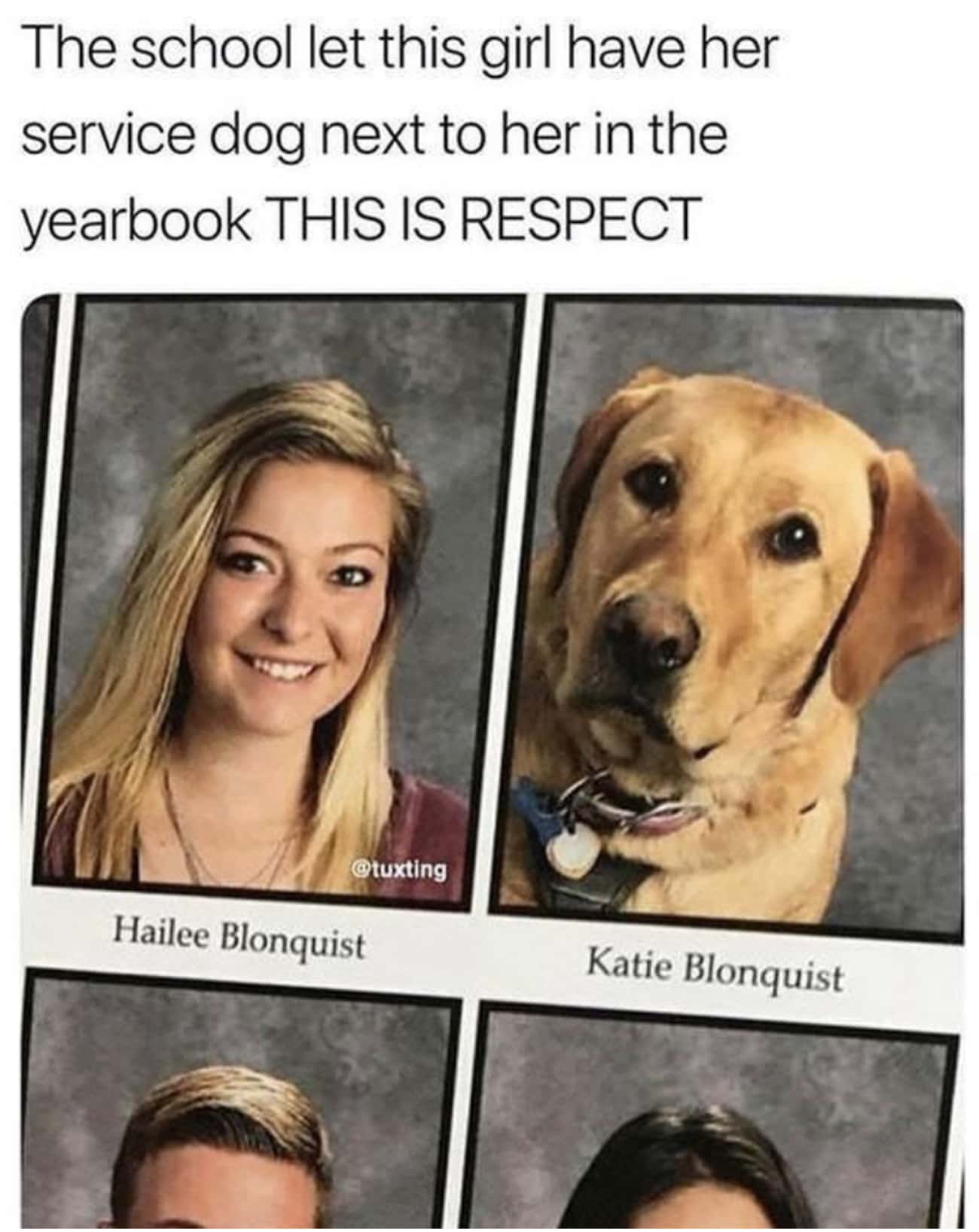 Most Likely To Be A Good Boi