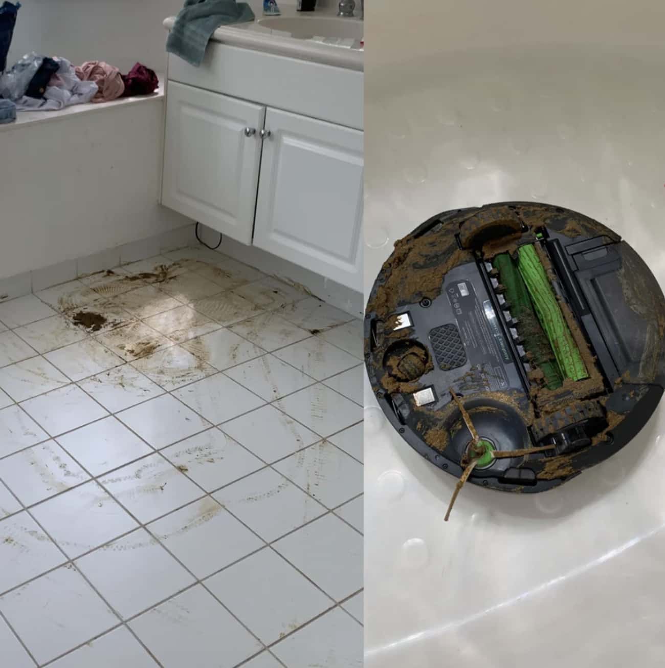 "My Brand New Roomba Ran Over My Puppy's Poop And Proceeded To 'Clean' The Rest Of My Home"
