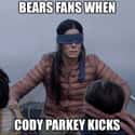 BearBox on Random Memes To Express Why Chicago Bears Fans Are Worst