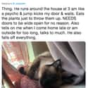 Pure Cat Chaos on Random Internet Weighs In On Who Actually Has World’s Worst Cat