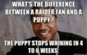 Puppy Love on Random Memes To Express Why Oakland Raiders Fans Are Worst