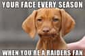 Poor Doggie on Random Memes To Express Why Oakland Raiders Fans Are Worst
