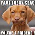 Poor Doggie on Random Memes To Express Why Oakland Raiders Fans Are Worst