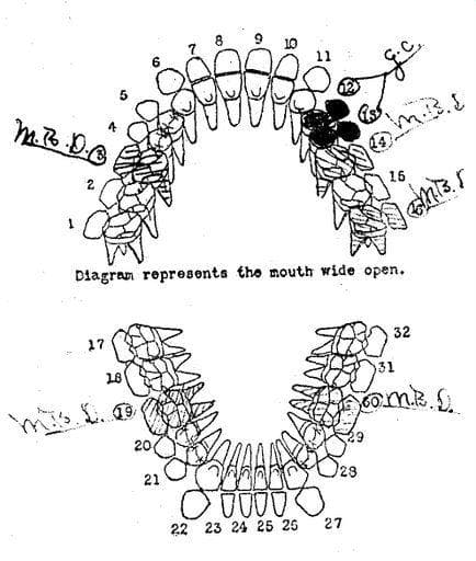 Who Put Bella In The Wych Elm? A Mystery That Has Stumped England Since 1943